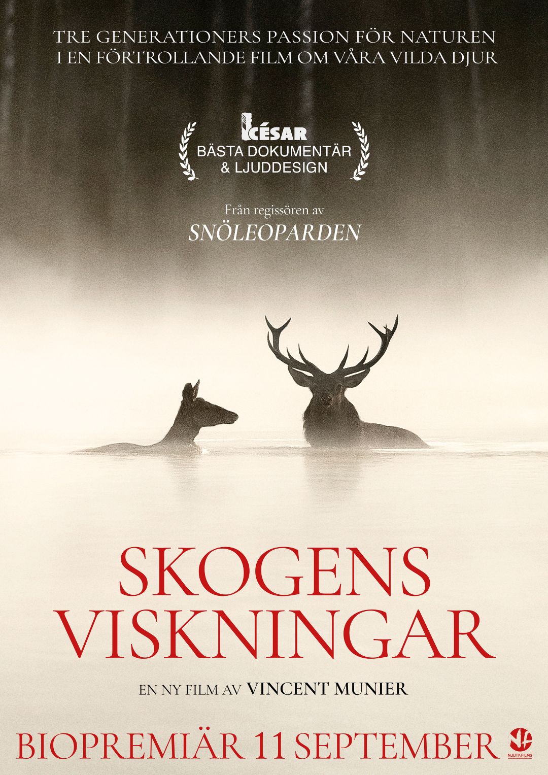 Skogens viskningar