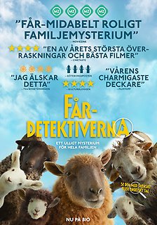 En skock får tittar in i kameran ovanifrån mot en blå himmel